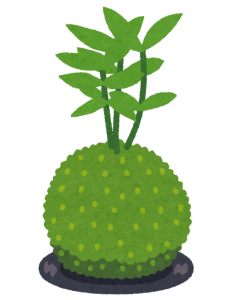コケ玉イラスト